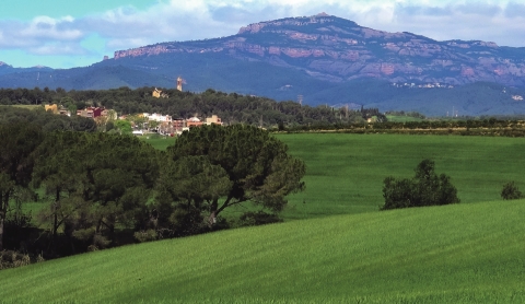 Quan Sabadell renuncia a créixer
