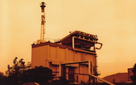 On són les veus dels ocells?